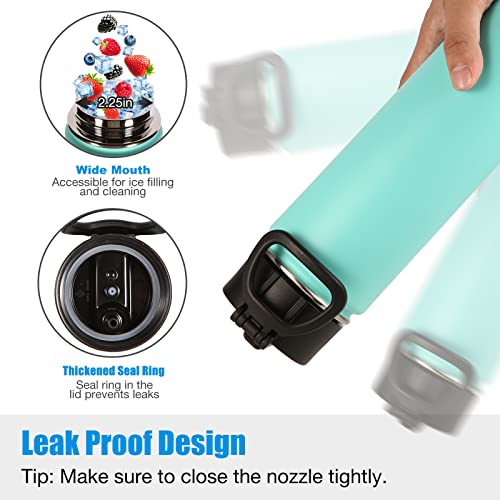 Insulated Water Bottles with Straw Bulk 2 Pack (2 Count)