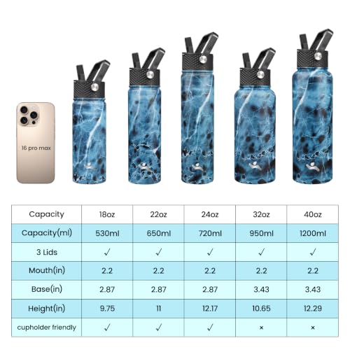 22 oz Insulated Stainless Steel Water Bottle with Straw Lid