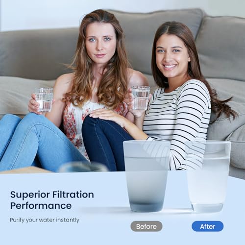 WF3CB Refrigerator Water Filter Replacement Pack of 1