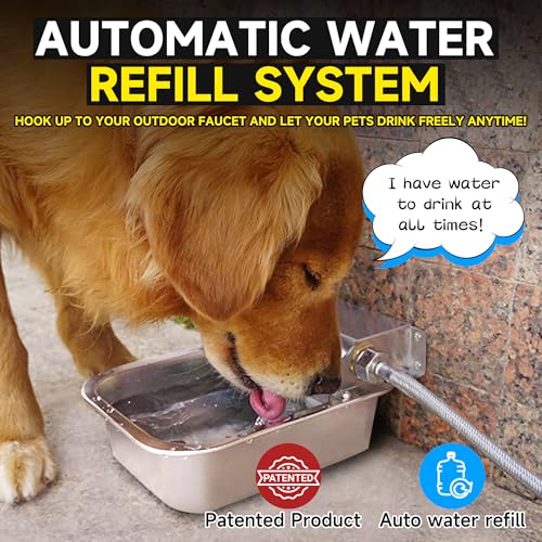 Automatic Water Dispenser for Dogs