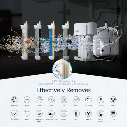 Premier 4 Stage RO Reverse Osmosis Under Sink Drinking Water Filtration System