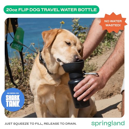 Springland 20oz Flip Portable Dog Water Bottle with Collapsible Bowl (20 Fl Oz)