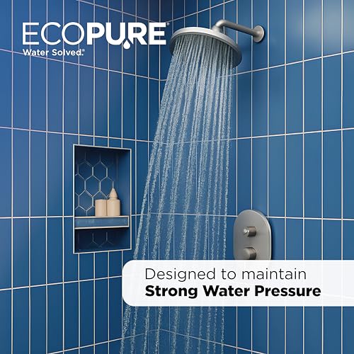 EPW2C Carbon Block Universal Whole Home Water Filter 2 (2 Count)