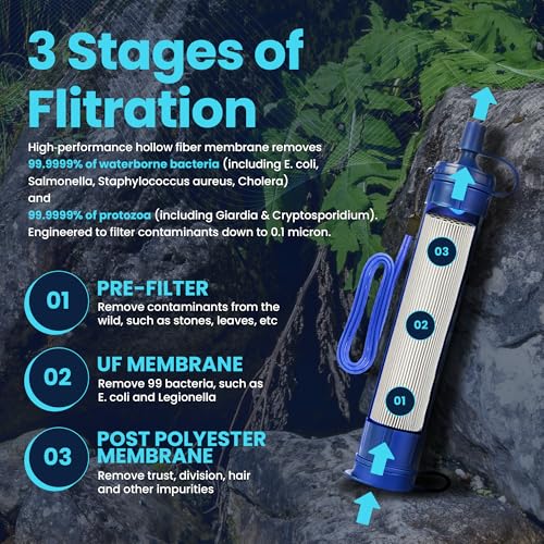 Filters Clean Survival Water Filter Straw (2 Count)