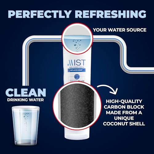 GSWF Water Filter Replacement for GE (2 Count)