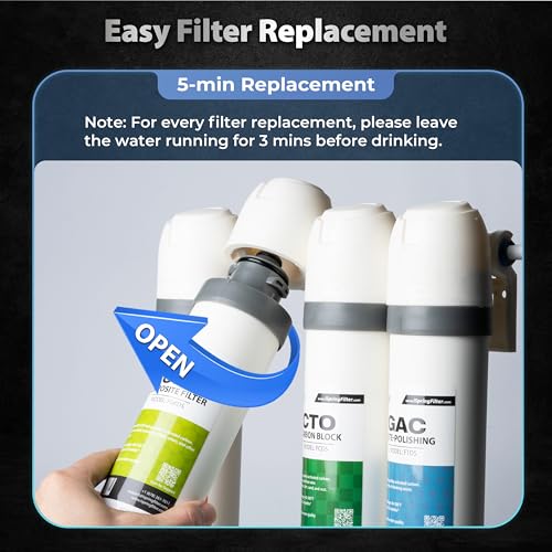 FCNCDS SGS Tested Chloramine Removal CTO Carbon Block Replacement Water Filter Cartridge for DS4 Series
