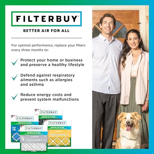 20x20x4 Air Filter MERV 11 Pet & Allergy Defense