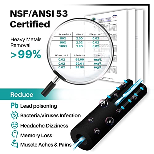 PLUS NSF53&42 Premium 5231JA2002A Refrigerator Water Filter (4 Count)