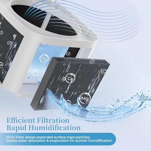 12 Pack 6000S Replacement Filter