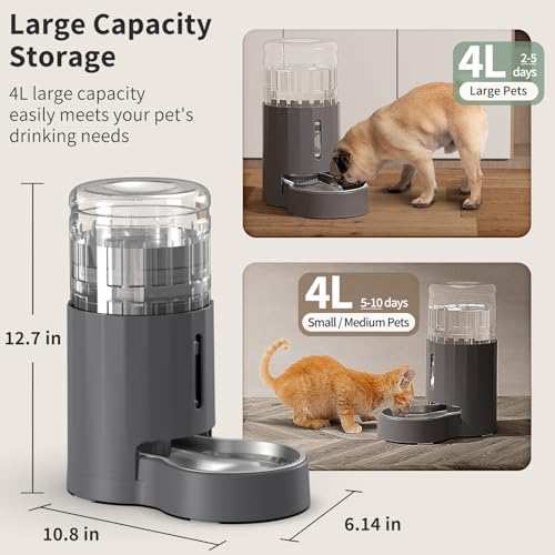 Cat Water Dispenser and Stainless Steel Bowl