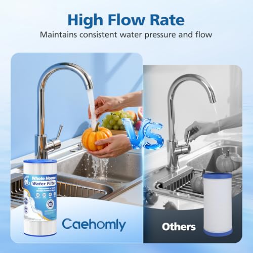 5 Micron 10" x 4.5" Whole House Water Filter Compatible with GE FXHSC (2 Count)