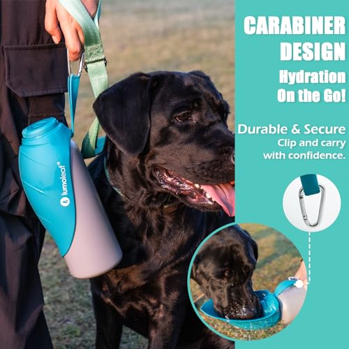 Insulated Dog Water Bottle 27 oz Stainless Steel