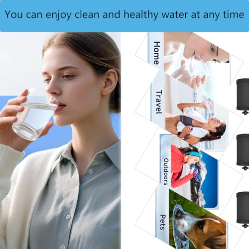 2387 Filter for Alexapure Water Filter Replacement (2 Count)