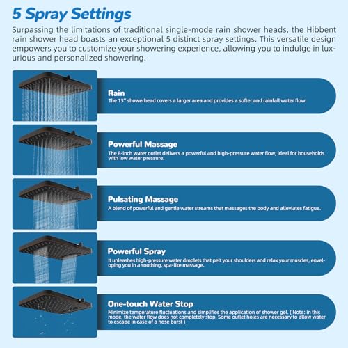 5 spray Dual Filtered Rainfall Shower Head with 10 Spray Handheld