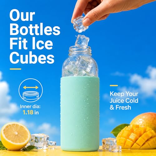 18 oz Glass Water Bottles with Lids and Silicone Sleeve 6 Pack (6 Count)