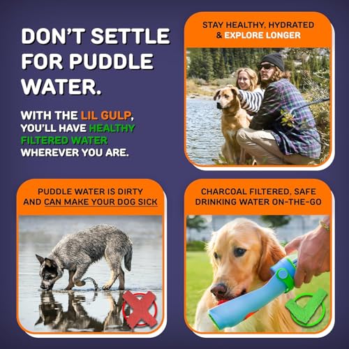 Lil Gulp Dog Water Bottle 15 Fl oz Filtered Portable Travel