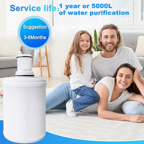 2Pack 100186 Water Filter Replacement Compatible with Amway espring 100186 water filter cartridge (2 Count)