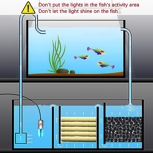 3W Mini Aquarium Algae Removal Light With Timer