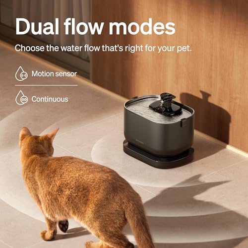 Cordless Cat Water Fountain