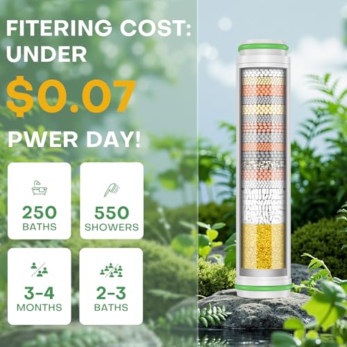 Shower Filter for Handheld Shower Head