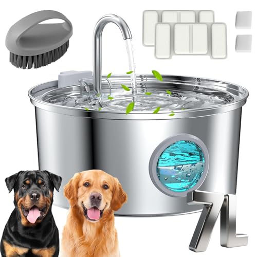 Dog Water Fountain