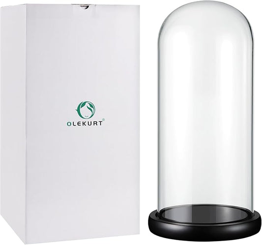 12"Hx 5.5"D Glass Display Dome Cloche with Wood Base, Cloche Bell Jar for Gold Dipped Rose, Antique Collectibles,Figurine, DIY Snow Globes, Plant