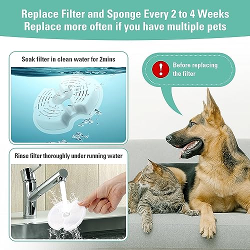12 Pack Replacement Filters & Pump Sponges for 67oz