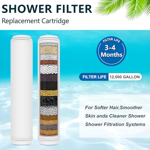Shower Filter