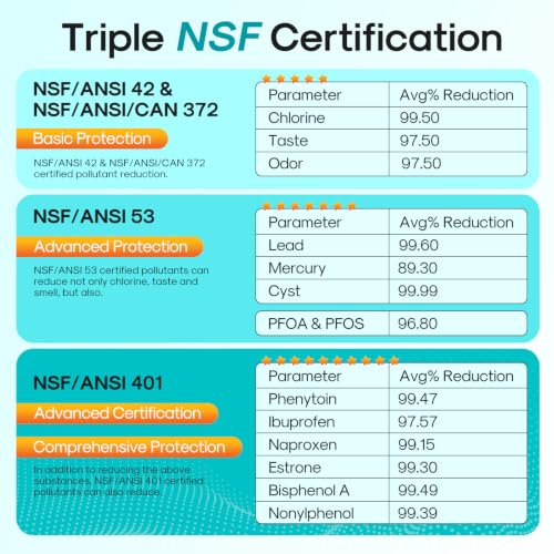 PRO 5231JA2002A NSF401&53&42 Certified Water Filter (2 Count)