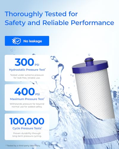WF1CB Water Filter Replacement for Frigidaire® WFCB® (2 Count)