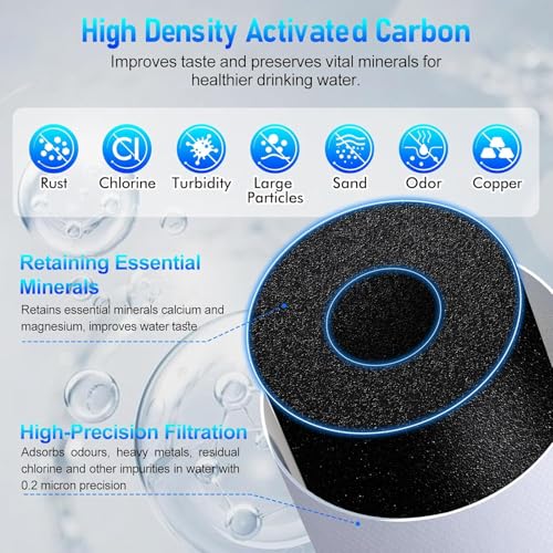 2 Pack 100186 Original Water Filter Replacement Cartridge Compatible with Amway Espring (100186 Count)
