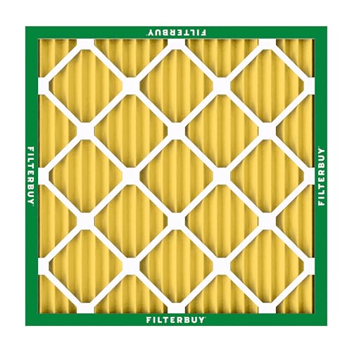 22x22x1 Air Filter MERV 11 Pet & Allergy Defense