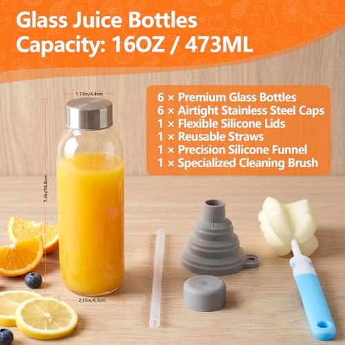 Glass Water Bottles with Lids 16 oz