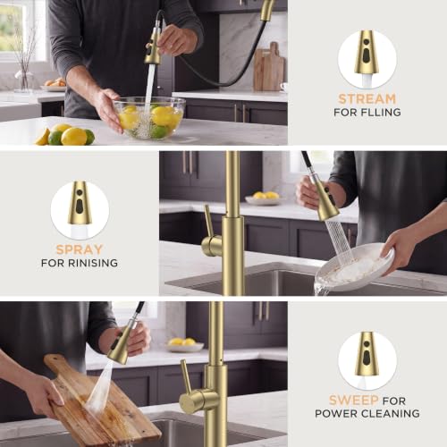 Kitchen Faucet with Pull Down Sprayer