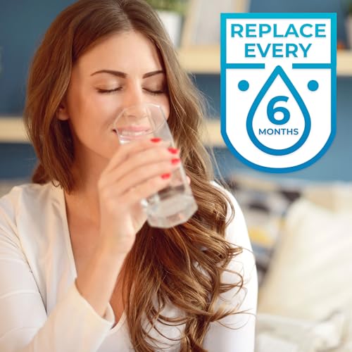 SP WP100 Water Filter Compatible with EDR1RXD1 46