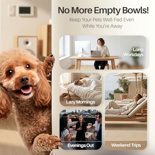 Gravity Pet Feeder