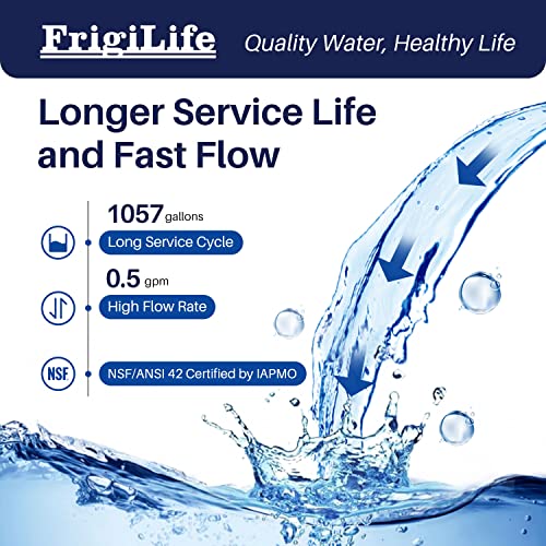 RV Water Filter (2 Count)