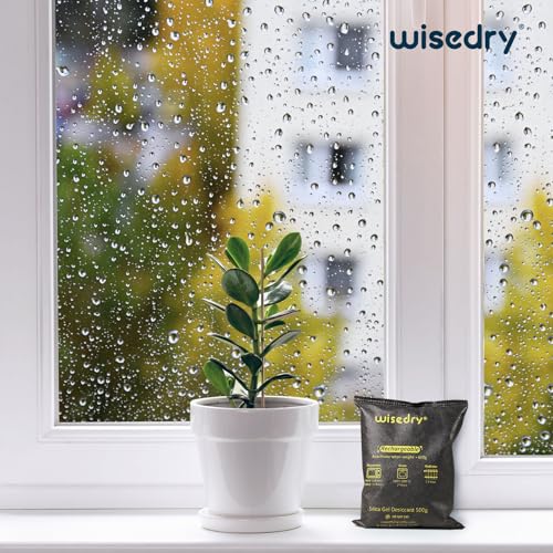 2 x 500 Gram [2.2 lbs] Rechargeable Silica Gel Car Dehumidifier (35.274 Ounce)