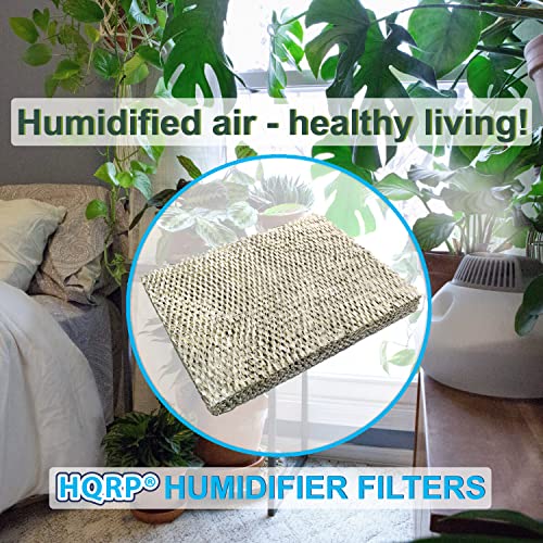 2 pack Filter Pad compatible with Lennox Healthy Climate 35 X2661 fits HCWB3 (2 Count)