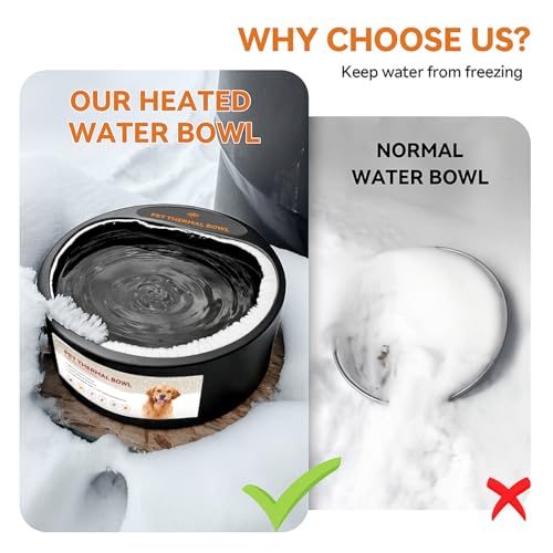 Heated Water Bowl for Outdoor Cats