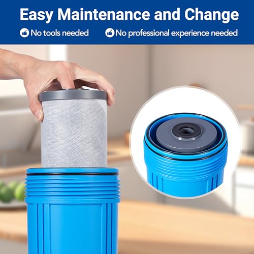 Replacement Filter Cartridges Set (2 Count)