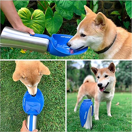 PupFlask Large Dog Water Bottle (27 Fl Oz)